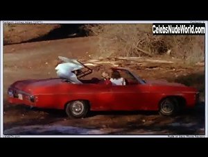Christine De Shaffer in Fantasm Comes Again (1977) 1