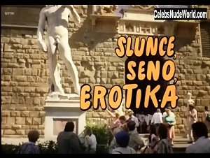 Katerina Lojdova in Slunce, seno, erotika (1991) 1