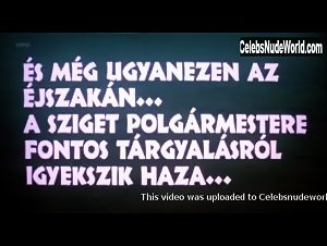 Anna Feher , Erika Sajgál , Unknown Girl xxx in Megint tanú (1995) 12