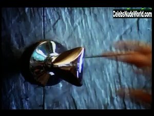 Angelina High in Playboy: Secrets of Making Love... to the Same Person Forever 2 (1992) 1