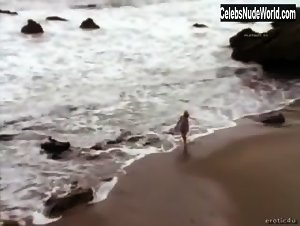 Anna Nicole Smith Outdoor , Beach in Playboy: The Complete Anna Nicole Smith (2000) 17