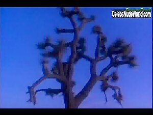Carrie Janisse Outdoor , Small boobs in Desert Passion (1993) 8