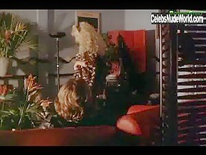 Delia Sheppard Lingerie , Stockings in Mirror Images (1992) 10