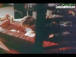 Delia Sheppard Lingerie , Stockings in Mirror Images (1992) 12