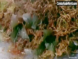 Delphine Pacific Asian , boobs in Sex Files: Alien Erotica - Director's Cut (1998) 5
