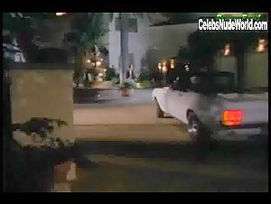 Dru Berrymore Big boobs , Lesbian in Beverly Hills Whore (1995) 2