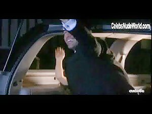 Jennifer Korbin Car Sex , Couple in Lingerie (series) (2009) 2