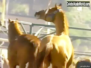 Jenny McCarthy Outdoor , Blonde in Playboy: The Ultimate Jenny McCarthy (2005) 2