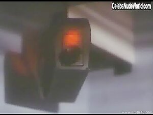Kathleen Kinmont in CIA Code Name: Alexa (1992) 5