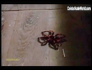 Lana Clarkson Costume , Brunette in Barbarian Queen II: The Empress Strikes Back (1989) 18