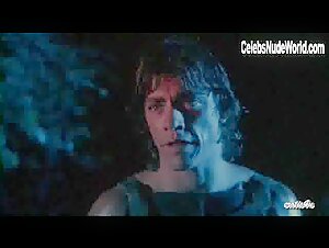 Lana Clarkson boobs , Costume in Deathstalker (1983) 10