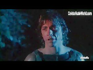 Lana Clarkson boobs , Costume in Deathstalker (1983) 11