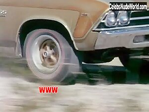 Larissa Ely Outdoor , Hairy Pussy in Russ Meyer's Cherry, Harry and Raquel! (1970) 19