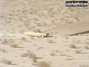 Larissa Ely Outdoor , Hairy Pussy in Russ Meyer's Cherry, Harry and Raquel! (1970) 9
