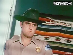 Larissa Ely Blonde , boobs in Russ Meyer's Cherry, Harry and Raquel! (1970) 20