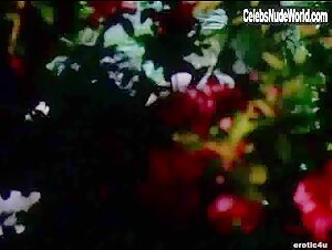 Laura Palmer Outdoor , boobs in Sex Files: Alien Erotica - Director's Cut (1998) 11
