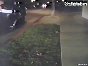 Leslie Olivan Nipple , Car Sex in Click: In the Heat of the Click (1997) 17