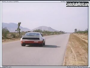 Lynda Wiesmeier Car Sex , boobs in Malibu Express (1985) 19