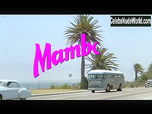 Maruschka Detmers in Mambo Kings (1992) 1