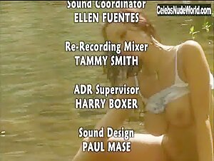 Nikki Nova in Busty Cops 2 (2006) 18