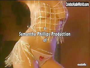 Nikki Nova Transparent Dress , Lingerie in Busty Cops 2 (2006) 1