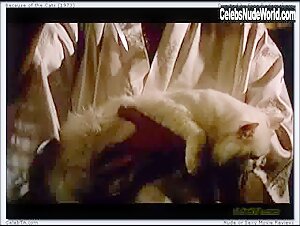 Sylvia Kristel Transparent Shirt , Nipple in Because of the Cats (1973) 16