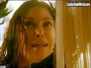Teri Hatcher in Desperate Housewives (series) (2004) 12