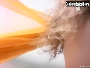 Teri Weigel Outdoor , Hairy Pussy in Playboy: Fantasies (series) (1987) 10