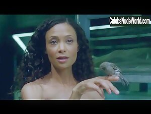 Thandie Newton Explicit , Brunette in Westworld (series) (2016) 20