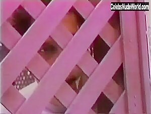 Traci Lords Threesome , Vintage in Traci's Fantasies (1986) 5