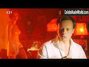 Vlastina Svatkova in Prvni republika (series) (2014) 5