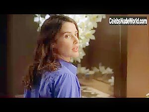 April Bowlby Gorgeous,underwear scene in The Slammin' Salmon (2009) 6