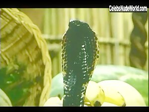 Dawn Matthews Topless , boobs scene in Snake Island (2002) 14