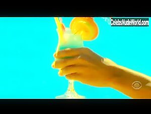 Heather Stephens Sexy, bikini scene in CSI: Miami (2002-2008) 1