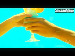 Heather Stephens Sexy, bikini scene in CSI: Miami (2002-2008) 2