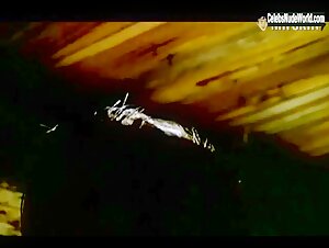 Madeleine Wade Nude, breasts scene in A Crack in the Floor (2000) 15