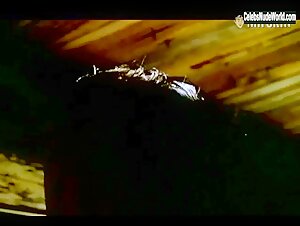 Madeleine Wade Nude, breasts scene in A Crack in the Floor (2000) 16