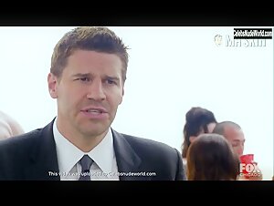 Gina La Piana Sexy, bikini scene in Bones (2005-2016) 17