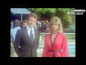 Loni Anderson Blonde , Outdoor scene in The Incredible Hulk (1977-1982) 16