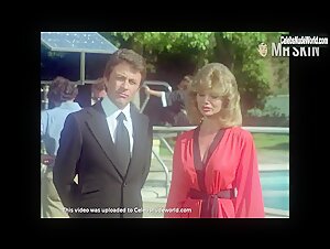Loni Anderson Blonde , Outdoor scene in The Incredible Hulk (1977-1982) 17
