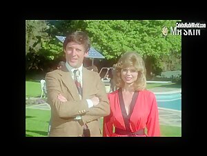 Loni Anderson Blonde , Outdoor scene in The Incredible Hulk (1977-1982) 8