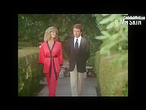 Loni Anderson Outdoor , Vintage scene in The Incredible Hulk (1977-1982) 10
