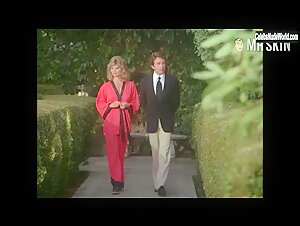 Loni Anderson Outdoor , Vintage scene in The Incredible Hulk (1977-1982) 6