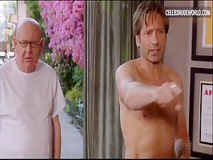 Jenny Lin breasts, Nude scene in Californication (2007-2014) 8